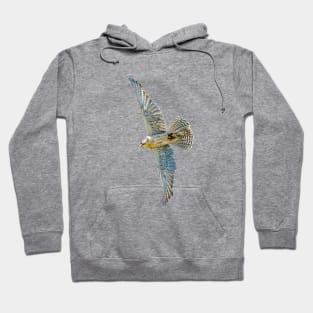 Gyr Falcon Hoodie